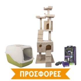 ΔΙΑΦΟΡΑ ΑΞΕΣΟΥΑΡ ΠΡΟΣΦΟΡΕΣ