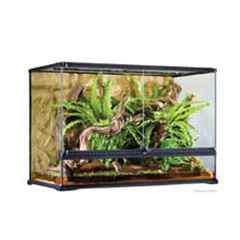 ΕΙΔΗ Terrarium