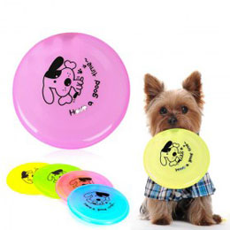 Frisbee