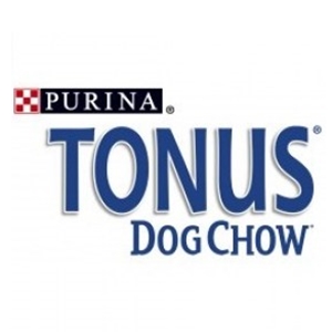 Tonus 