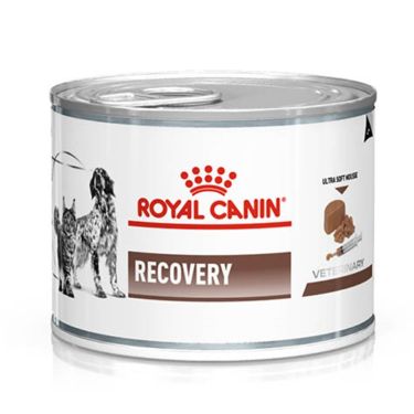 Royal Canin Vet Diet Cat/Dog Recovery