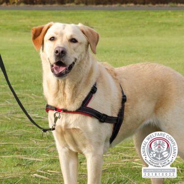 Trixie Training Harness Lead'n'Walk Soft