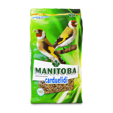 Manitoba Carduelidi