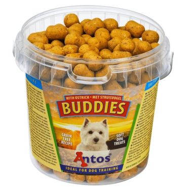 Antos Buddies με Στρουθοκάμηλο