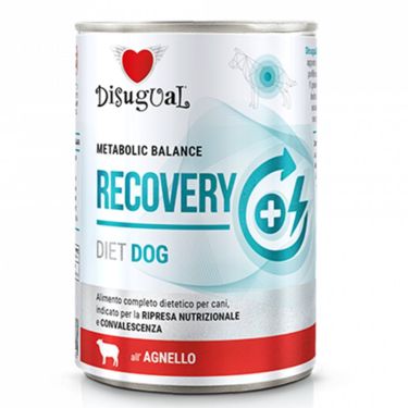 Disugual Vet Diet Dog Recovery 400gr