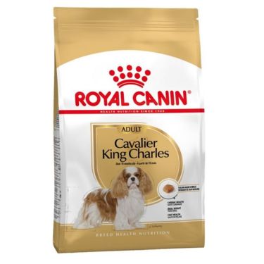 Royal Canin Cavalier King Charles Adult