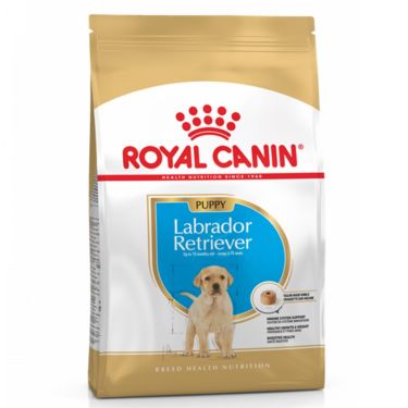 Royal Canin Labrador Retriever Puppy