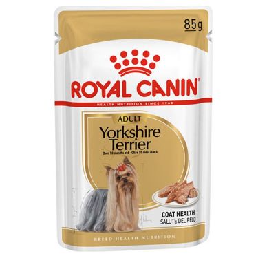 Royal Canin Yorkshire