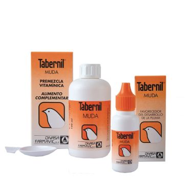 Tabernil Muda