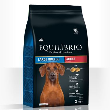 Equilibrio Adult Large Breeds