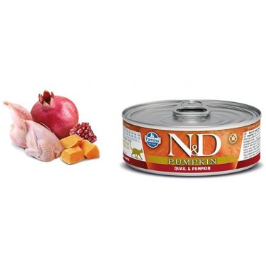 N&D Cat Pumpkin & Quail Wet Food