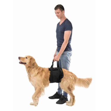 Trixie Lifting Aid