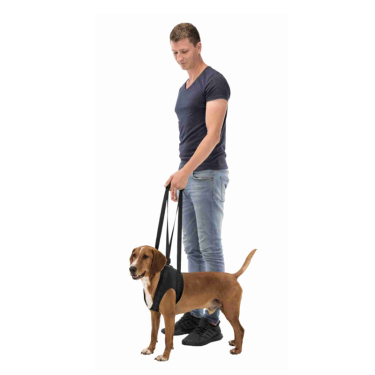 Trixie Walking Aid