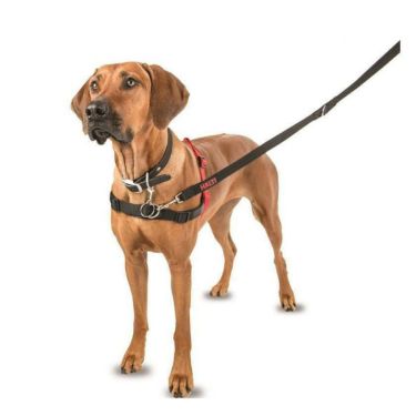 Halti Front Control Harness Εκπαιδευτικό Σαμαράκι 80-120cm