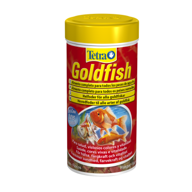 Tetra Goldfish
