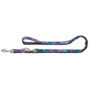 Hunter Paisley Εκπαιδευτικός Οδηγός