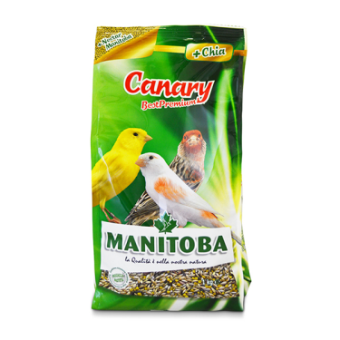 Manitoba Canary Best Premium