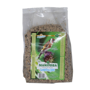 Manitoba Cardellino 3000