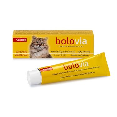 Bolo Via Cat Paste