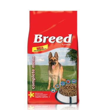 Breed Line Dog Adult
