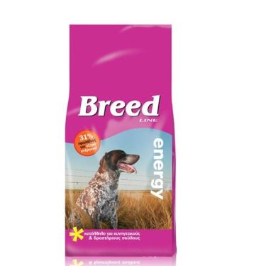 Breed Line Dog Energy