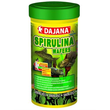 Dajana Spiroullina Wafers