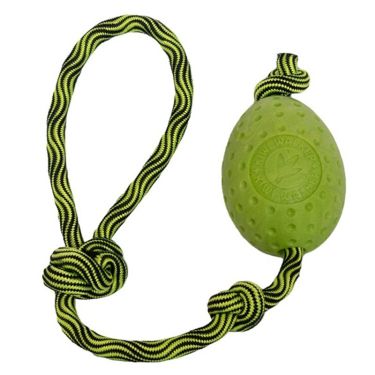 Kiwi Let's Play Egg Green Maxi 