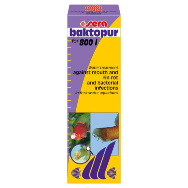 Sera Baktopur