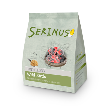 Serinus Hand Feeding Για Άγρια Πτηνά