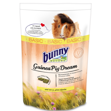 Bunny Guinea Pig Dream Basic