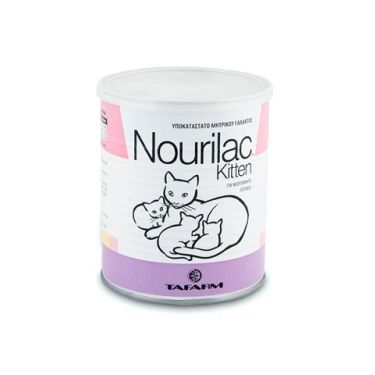 Nourilac Kitten