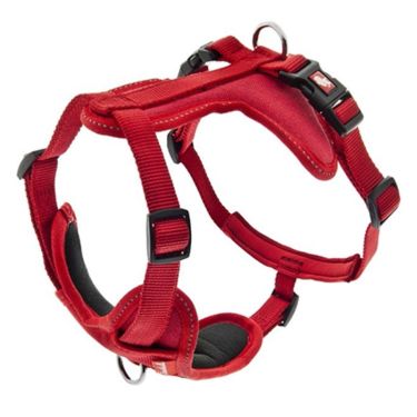 Ferribiella Dog Σαμαράκι Cesare