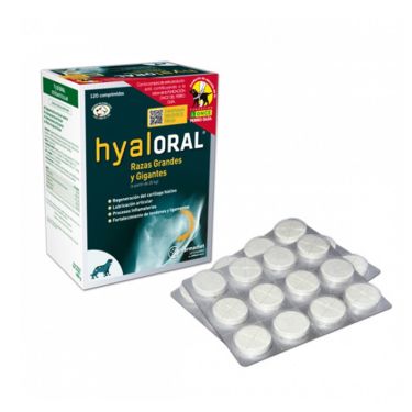 Hyaloral Large & Giant Breed