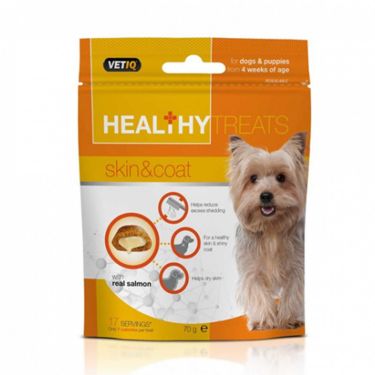 Vetiq Healthy Skin & Coat 70gr