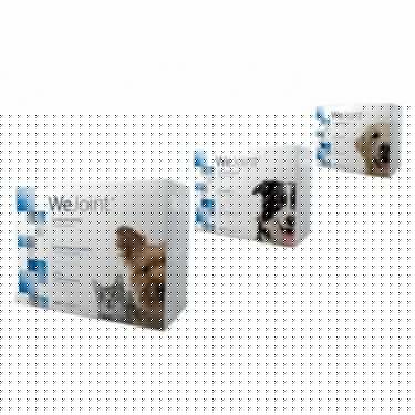 We Joint 30tablets