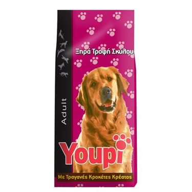 Youpi Adult Dog
